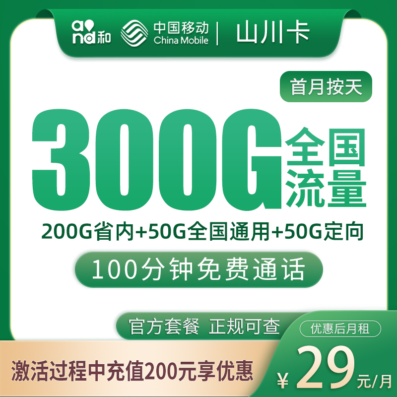 移动山川卡29元300G+100分钟【只发山东济南/聊城】